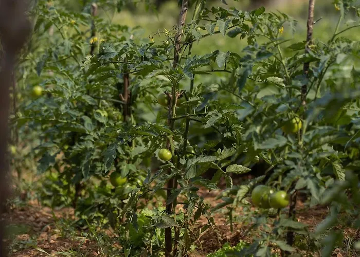 Family Little Paradise * Ruzic