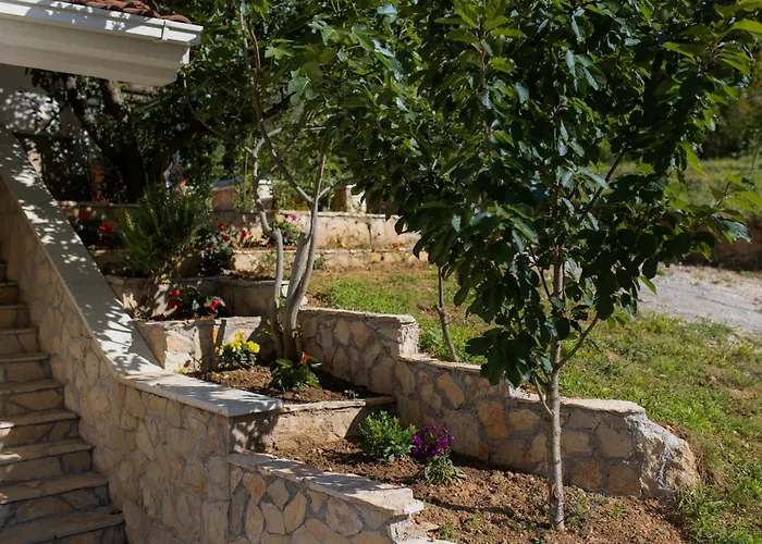 Family Little Paradise *